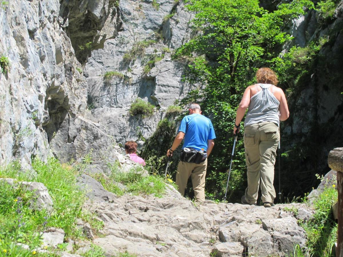 Casa De La Montana Albergue Turistico Avín Εξωτερικό φωτογραφία