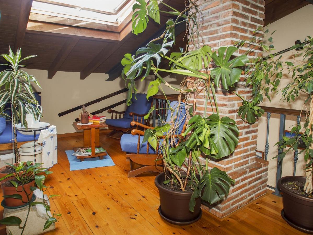 Casa De La Montana Albergue Turistico Avín Εξωτερικό φωτογραφία